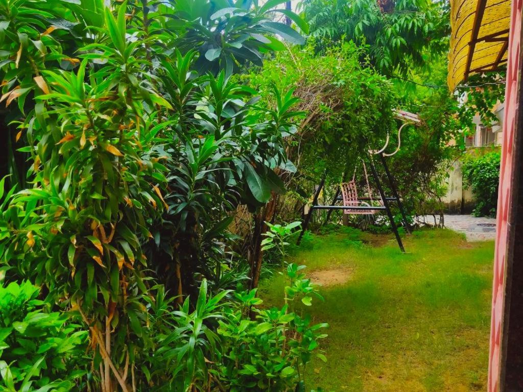 Jwala Niketan Eco Homestay ジャイプール エクステリア 写真